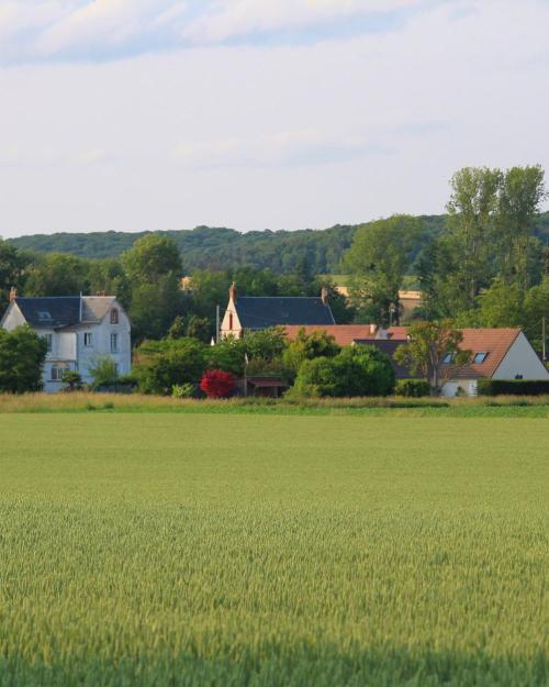 Scenic view of a tranquil village surrounded by lush greenery in Bornel, France.