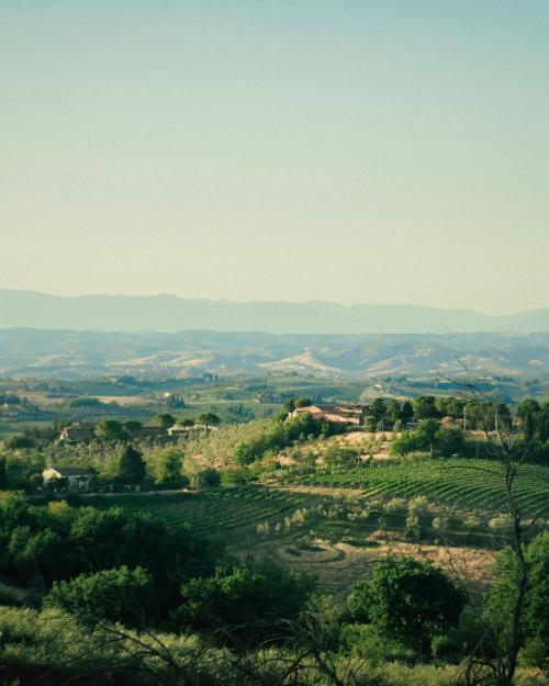 Picturesque view of Tuscany's rolling hills, vineyards, and Italian villas under a clear summer sky.