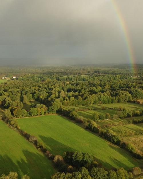 Aerial landscape of expansive green fields and forest with a vivid rainbow in the sky.