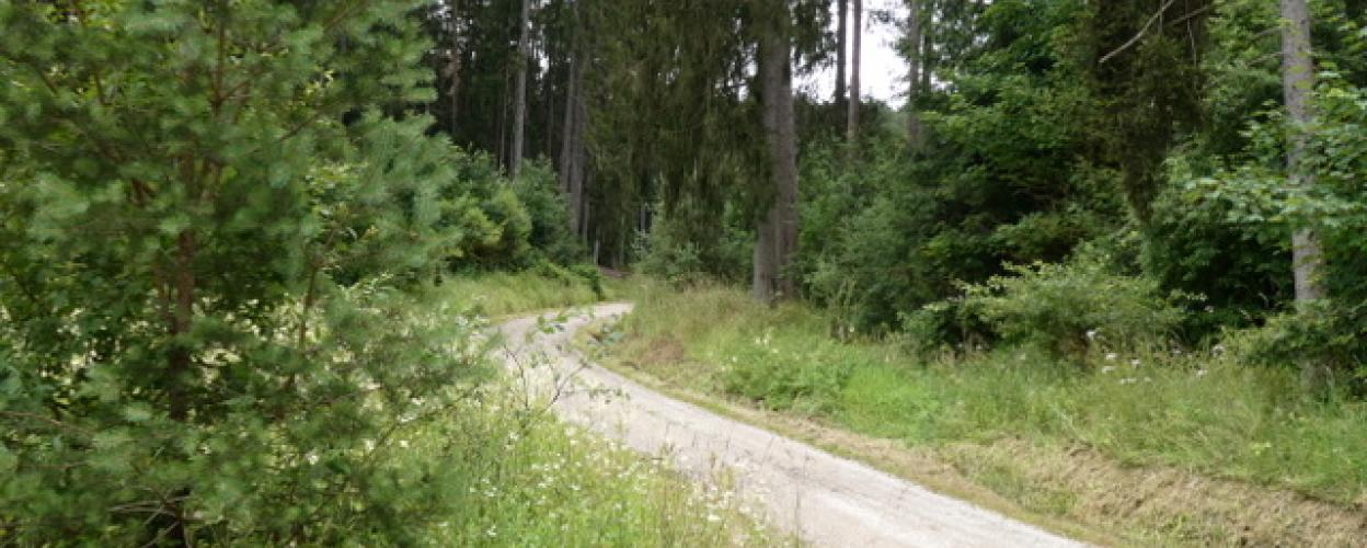 Vom Flugplatz nach Michelfeld