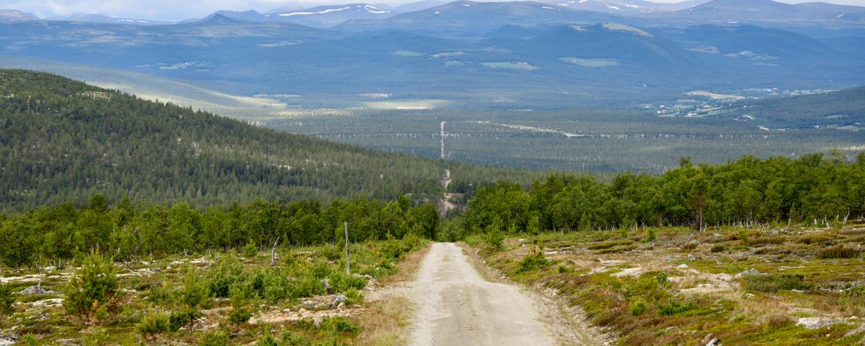 Waldpisten am Haustsjøen  