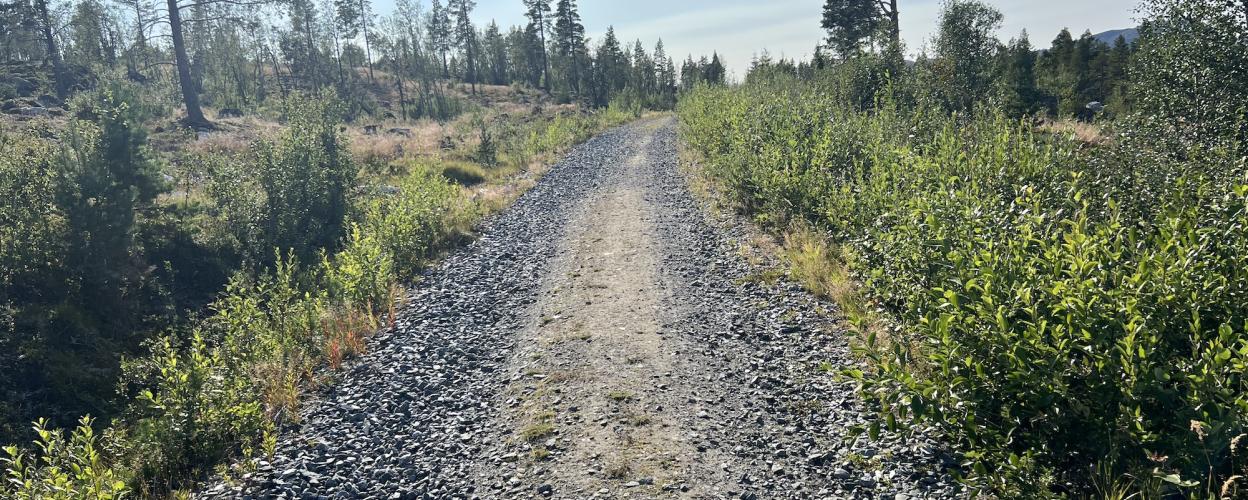 Offroad Norwegen Piste am Pålsbufjorden