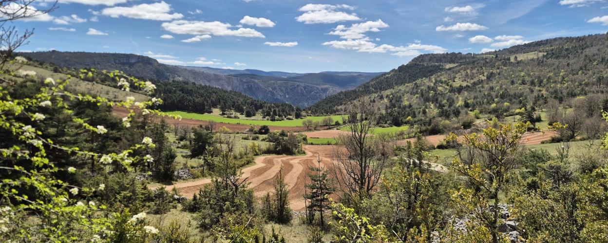 Offroad Frankreich Causse Sauveterre