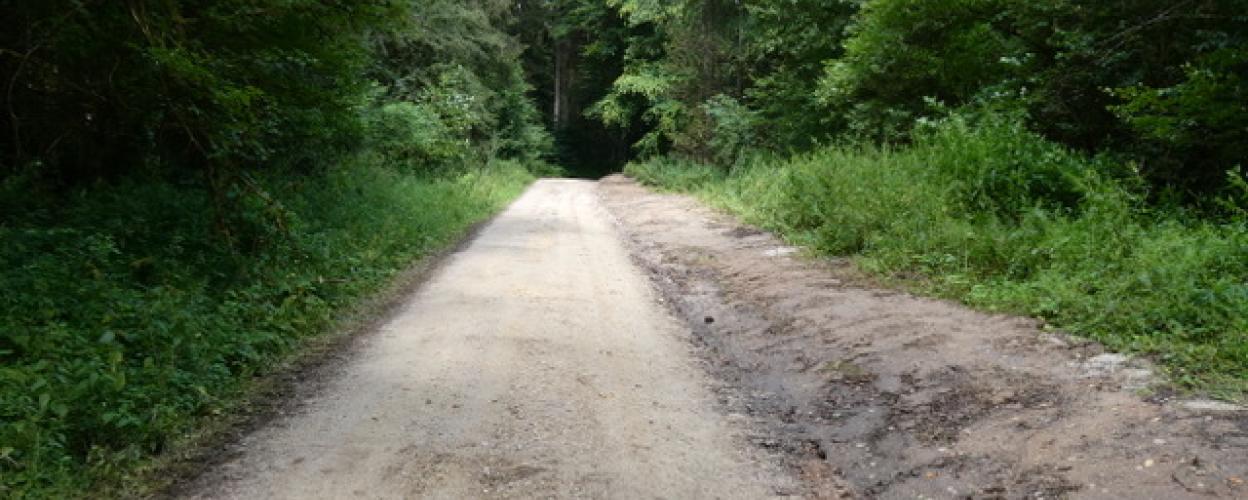 Offroad Deutschland Veldensteiner Forst
