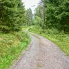 Durch den Lindenhardter Forst und Rotmainquelle 