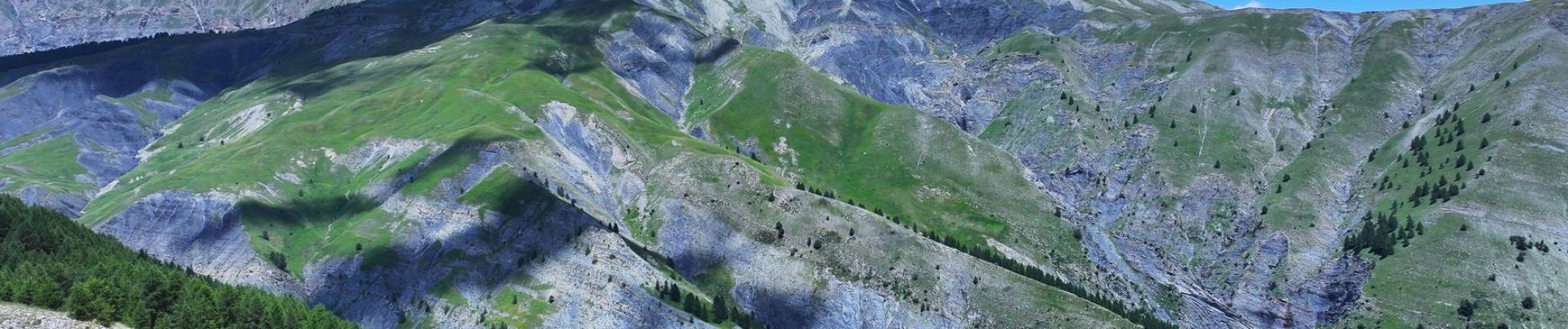 Stunning aerial view of the French Alps with lush greenery under a clear blue sky.