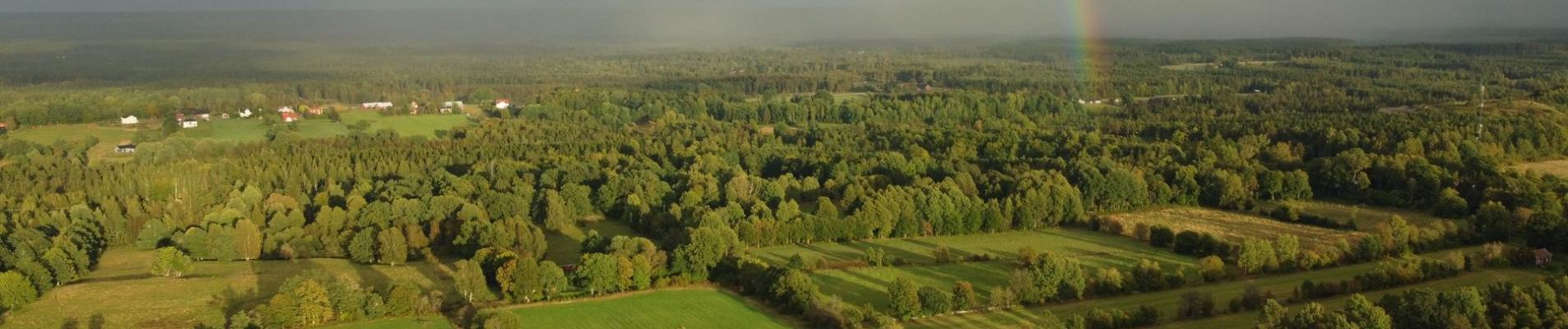 Aerial landscape of expansive green fields and forest with a vivid rainbow in the sky.