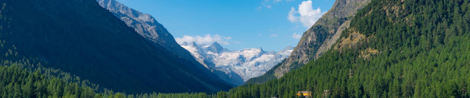 Beautiful village of Pontresina nestled in the Swiss Alps with lush greenery and clear blue skies.