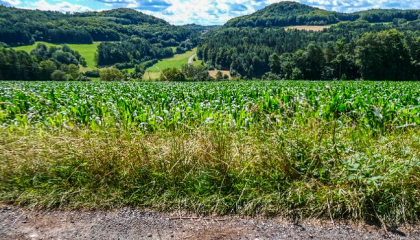 Durch die Fränkischen Schweiz