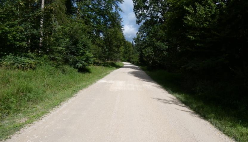 Naturpark Hirschwald I