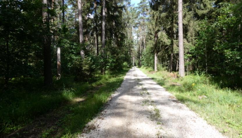 Naturpark Hirschwald II