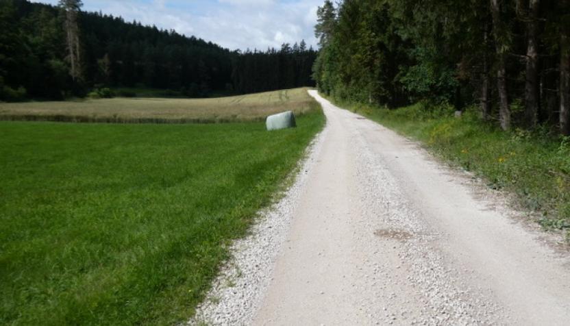 Naturpark Hirschwald IIII