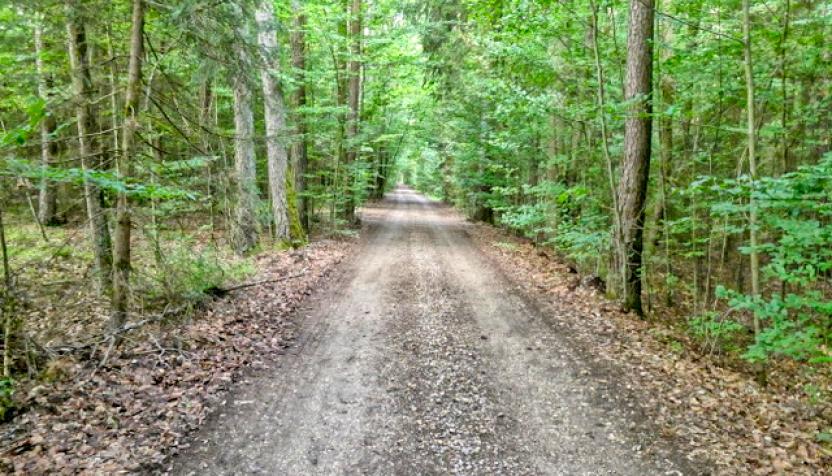 Naturpark Hirschwald IIII