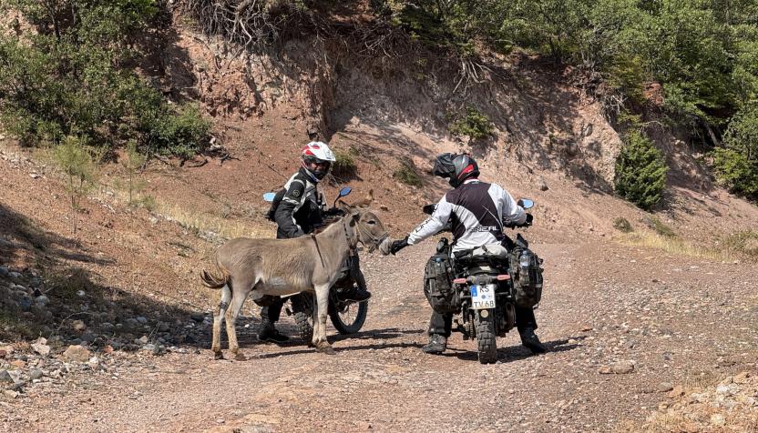 ALB Zwischen Peshkopia und Burrel 
