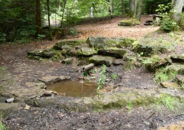 Durch den Lindenhardter Forst und Rotmainquelle
