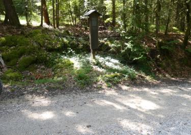 Durch die Fränkischen Schweiz