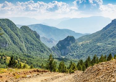 Lure Albania 