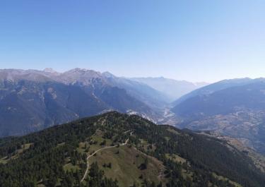 Madonna del Cotolivier