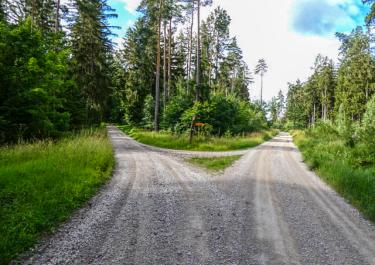 Naturpark Hirschwald II