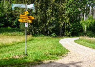 Naturpark Hirschwald III
