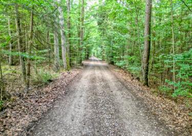 Naturpark Hirschwald IIII