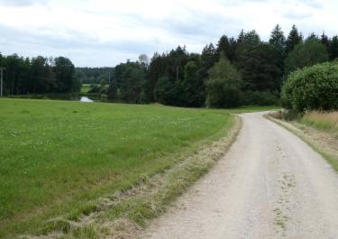 Vom Flugplatz nach Michelfeld
