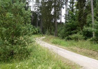 Vom Flugplatz nach Michelfeld