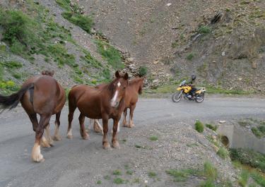 Offroad Spanien Am Collada de la Corba