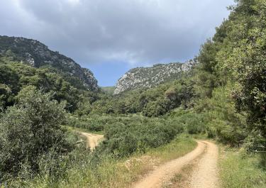 Offroad Kroatien Buchten an der Südküste