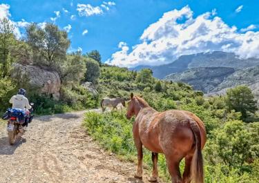 Offroad Spanien Coll de Llívia