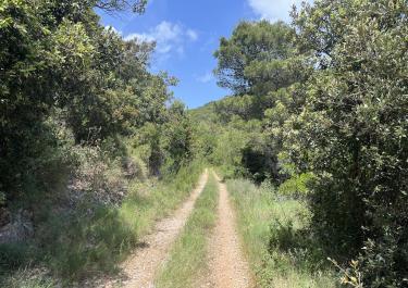 Offroad Kroatien Ganz im Osten nach Sućuraj 