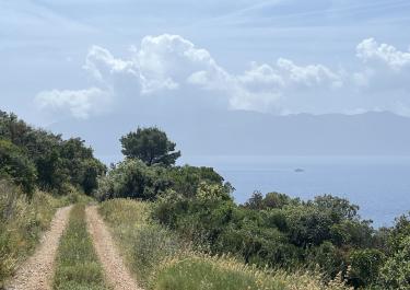 Offroad Kroatien Ganz im Osten nach Sućuraj 
