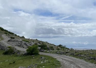 In den Wäldern des Velebit