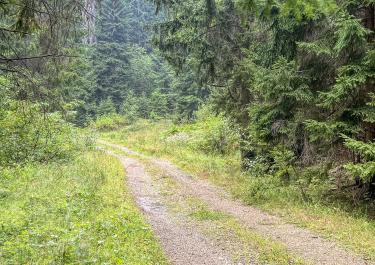Offroad Montenegro Pisten durch das ländliche Montenegro