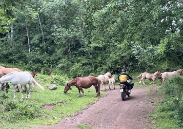 Offroad Spanien Pista d Erta