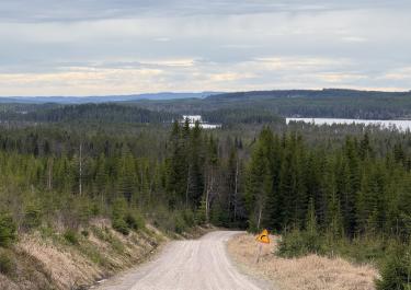 Eine Schotterstraße führt bergab in einen Wald. Rechts steht ein Schild. Im Hintergrund ist Wasser zu sehen