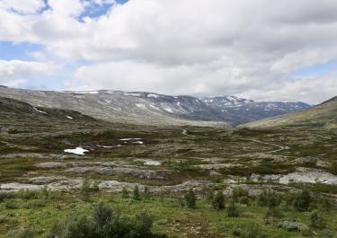 Norwegen Aursjøvegen im Eikesdalen 