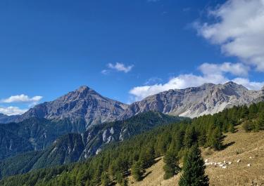 Italien Madonna del Cotolivier 