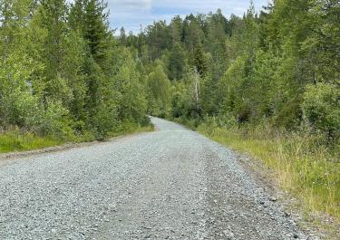 Norwegen Zum Ausetvatnet und Bulandsvatnet 