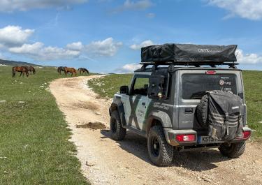 Wildpferde am Bobovnik