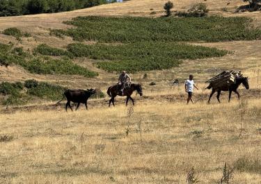 Offroad Albanien Im Osten von Rreshen