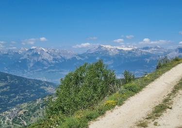 Offroad Schweiz Alpage de la Louère