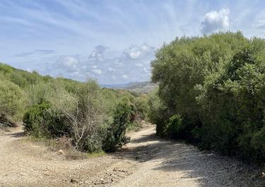 Offroad Italien Auf den Pisten der Rallye Italia Sardegna