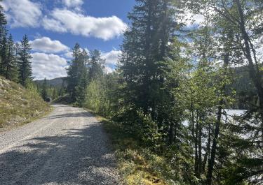 Offroad Norwegen Imsdalenvegen 