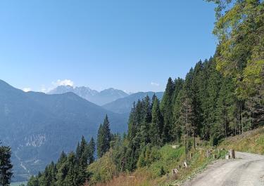 Leppner Alm