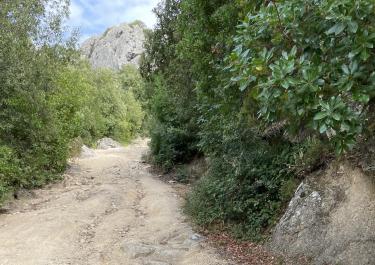 Offroad Italien Monte Limbara von Norden