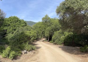 Offroad Italien Piscine Naturali Di Monte Ferru