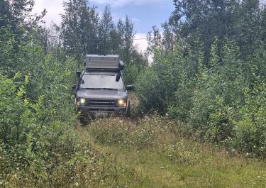 Offroad Schweden Der vergessene Waldweg