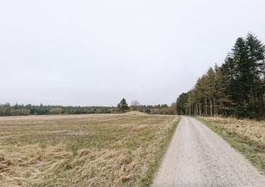 Offroad Dänemark Nationalpark Thy