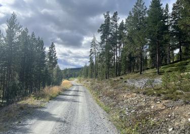 Offroad Norwegen Nysetervegen - Biri